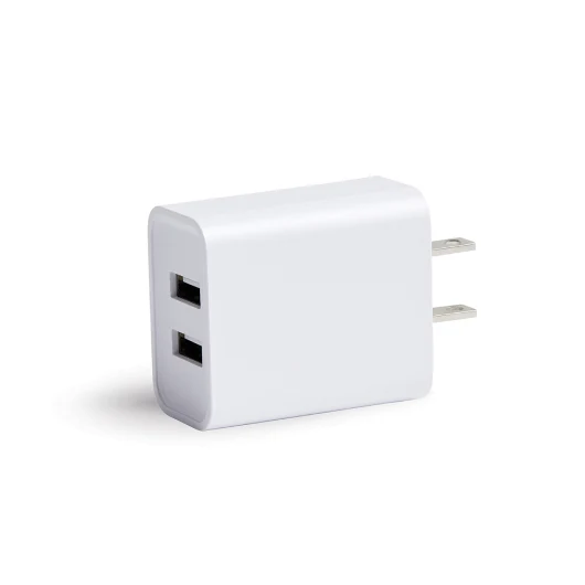 Willow Go Dual Port USB Charger Block for Two Pumps at Once